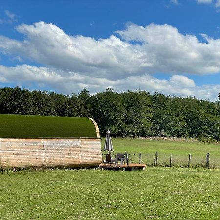 Logement Insolite : La Ruche Verte Monts-sur-Guesnes エクステリア 写真